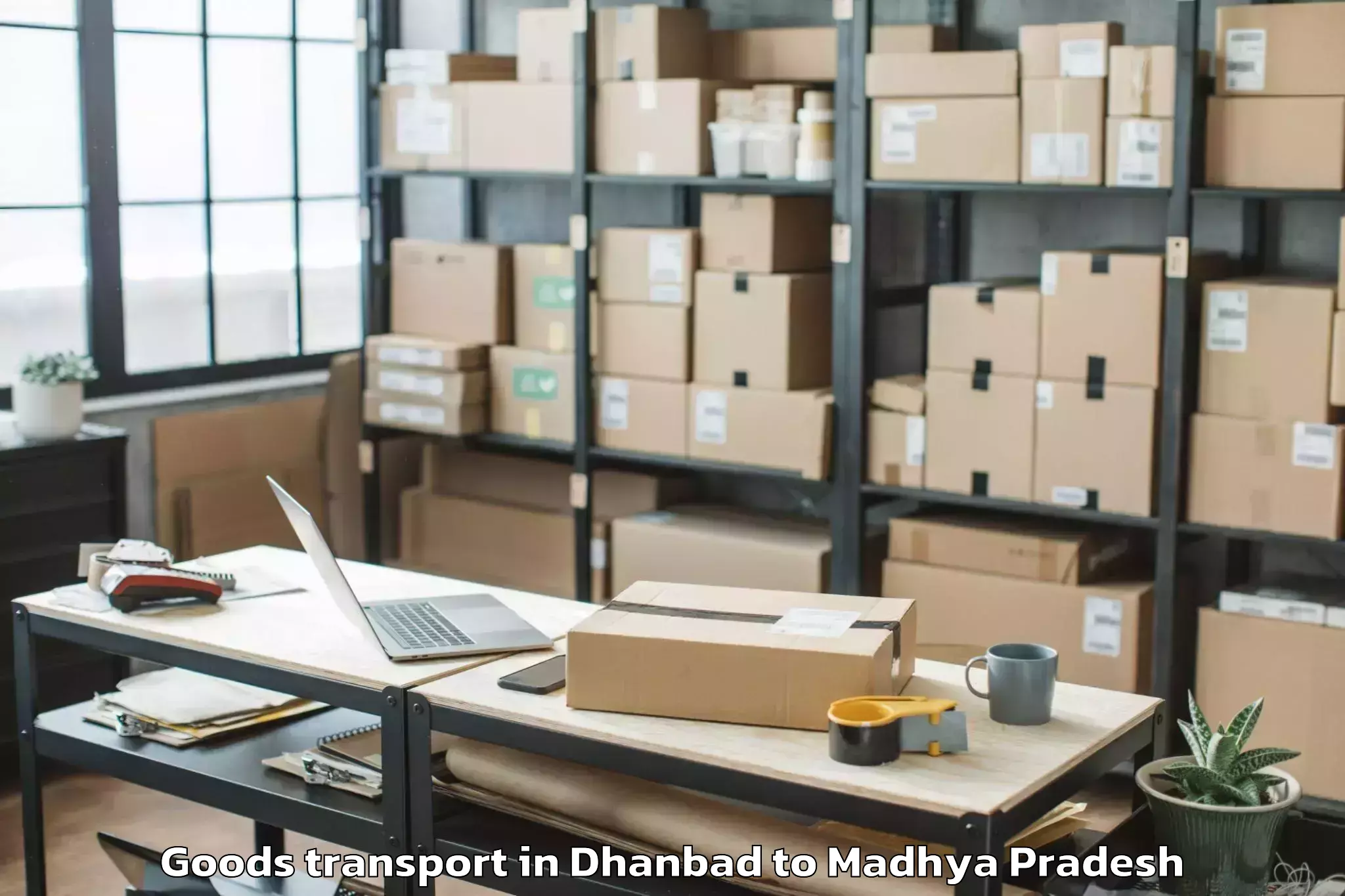 Discover Dhanbad to Shujalpur Goods Transport